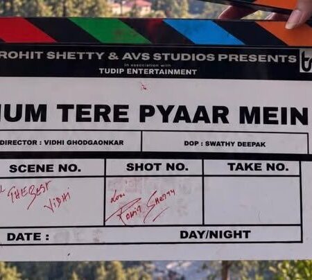 Krithi Shetty Bollywood debut film Hum Tere Pyaar Mein