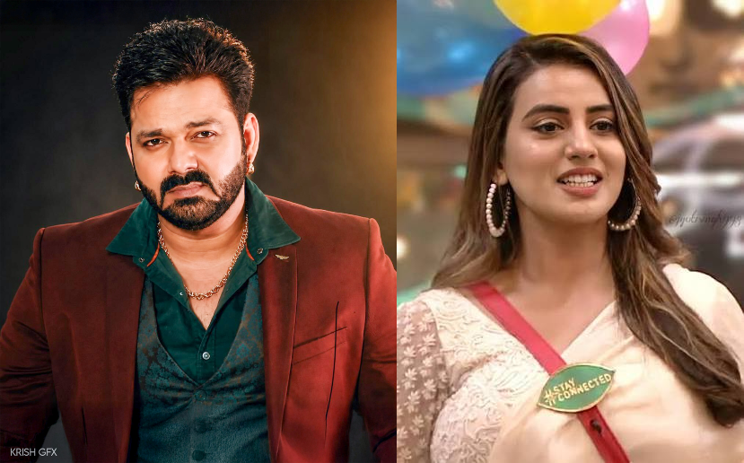 Pawan Singh and Akshara Singh in news after public apology at Munger Durga Puja event